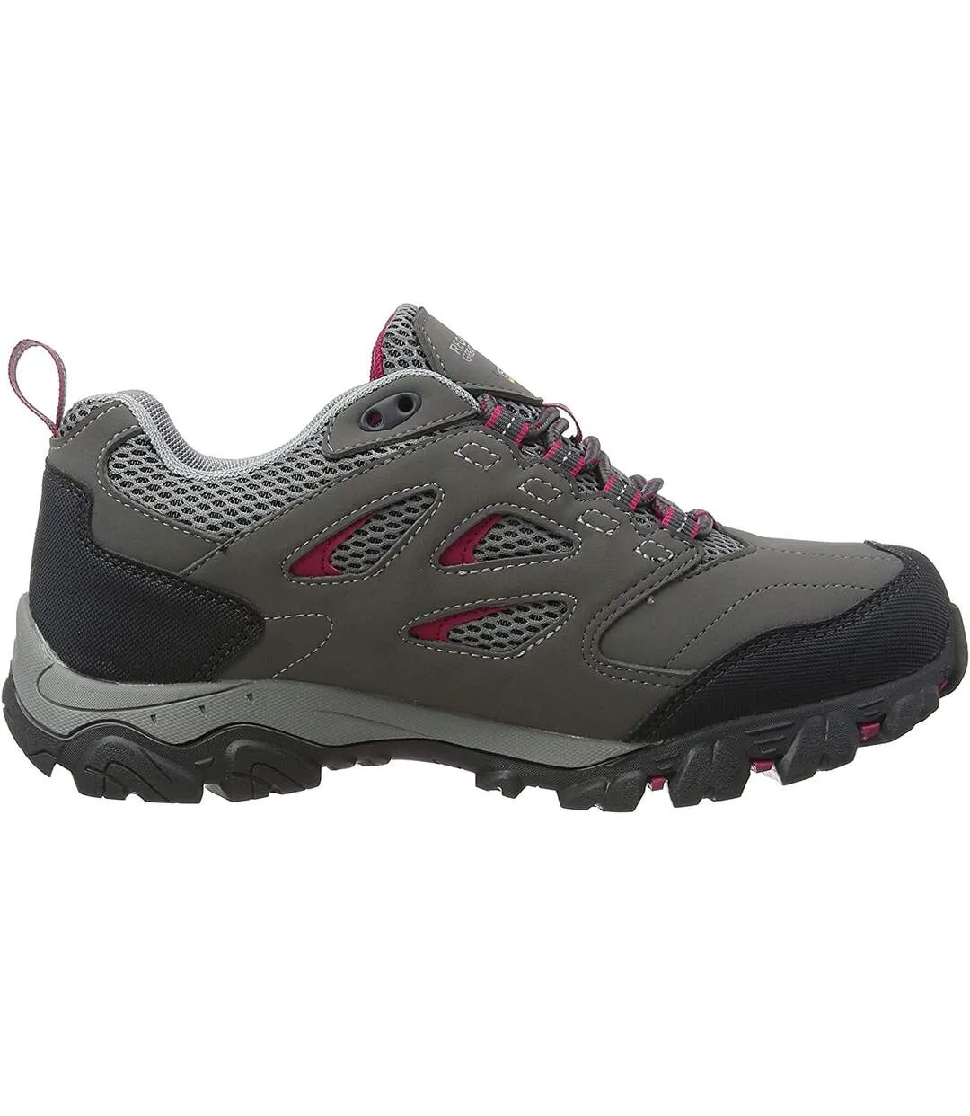Regatta Womens/Ladies Holcombe IEP Low Hiking Boots (Steel/Vivacious) - UTRG3704